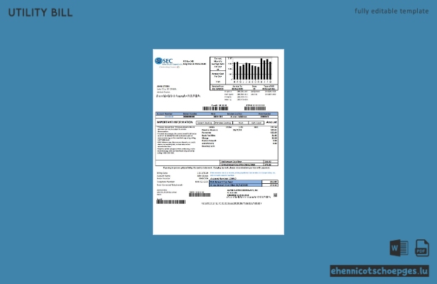 USA South Carolina Santee Electric Cooperative SEC Adressnachweis Beispielrechnung Vorschau